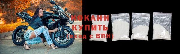 шишки Алексин