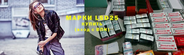 шишки Алексин